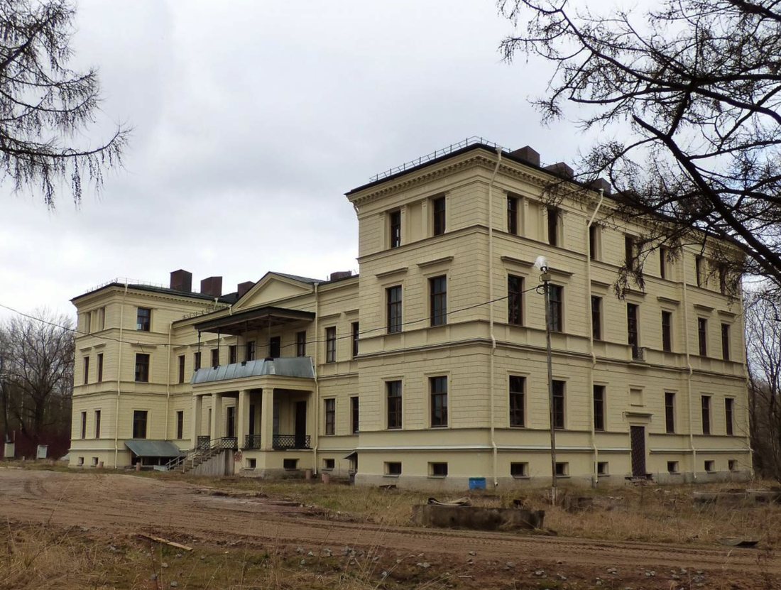 Гофмейстерский корпус, Михайловская дача